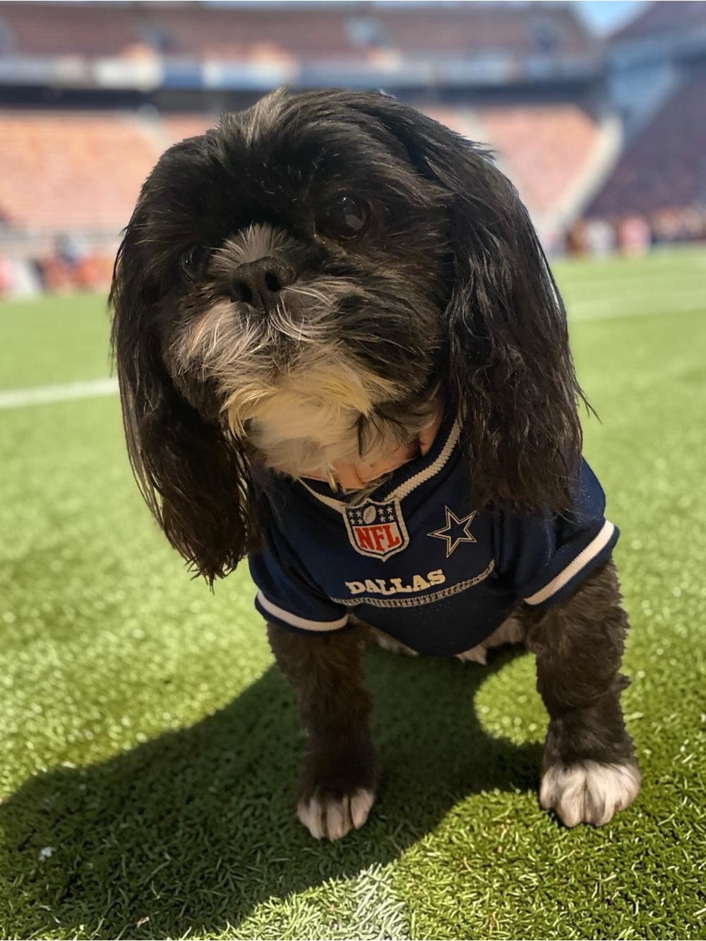 Pets First NFL Dallas Navy Blue Dog Jersey with Star Patch Size Small